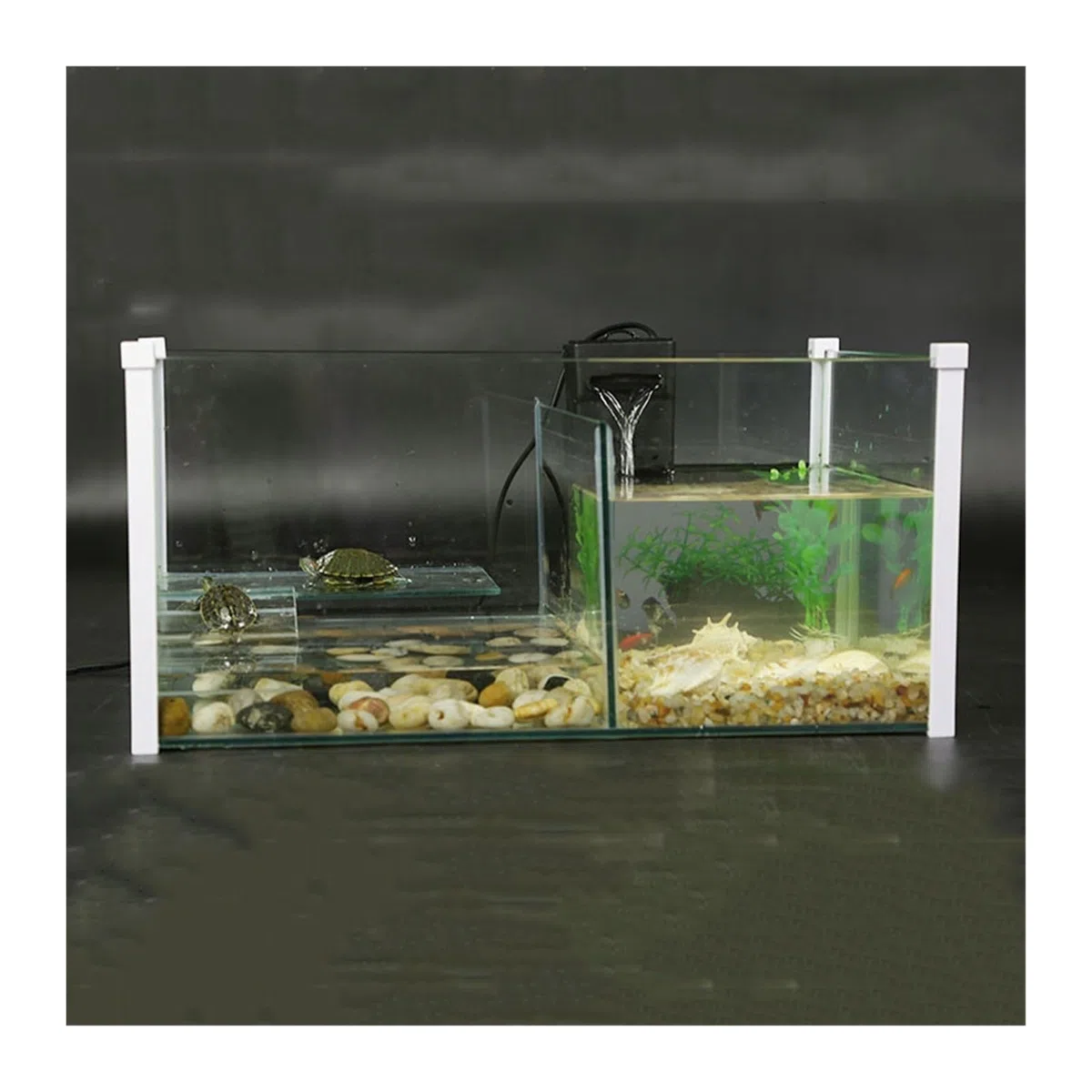 Süßwasserfische Aquarium-Mix-Trenntank for Schildkröten-Fischmischtank | Zuchtbecken, quadratisches Aquarium aus transparentem Glas