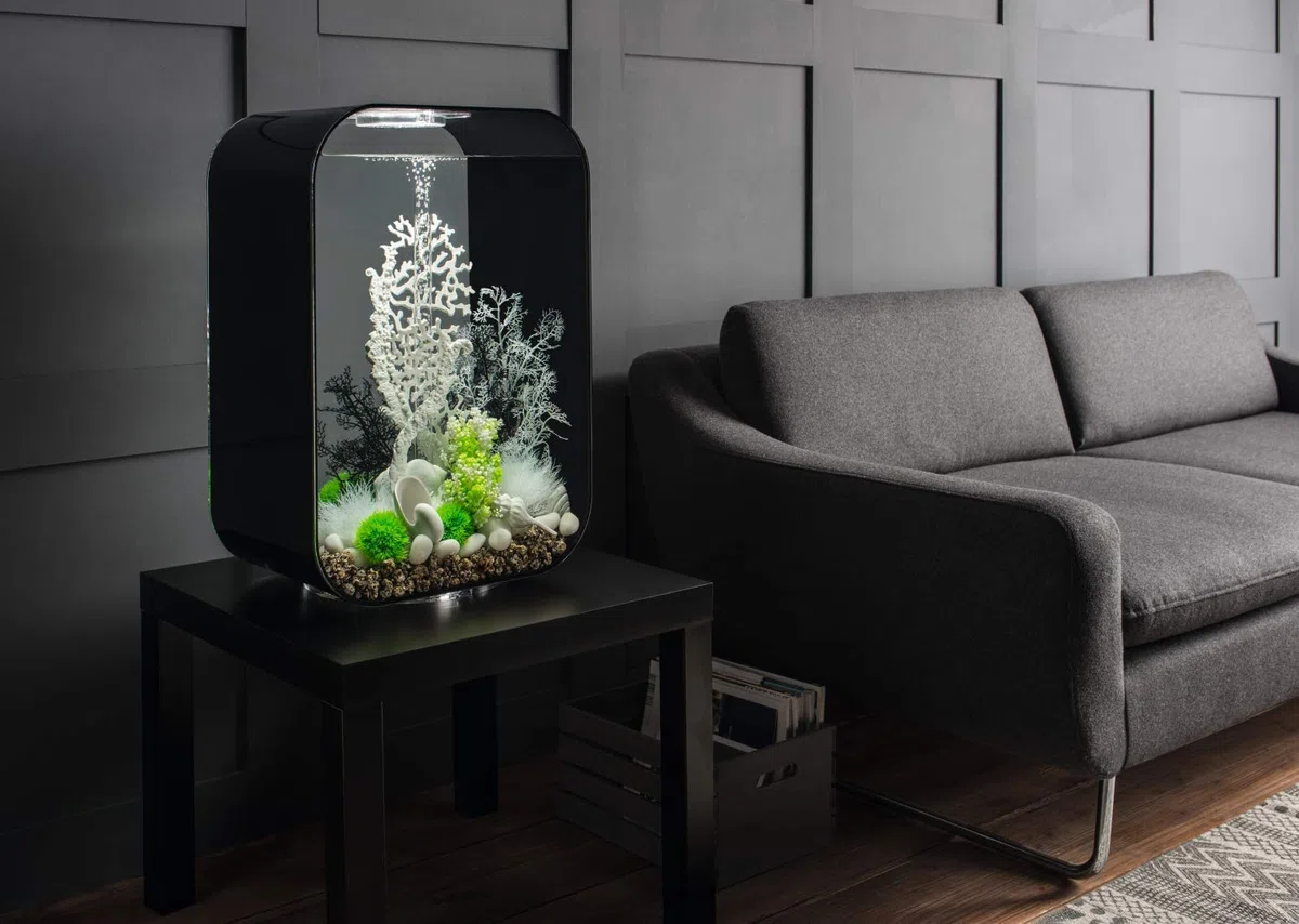biOrb Life 60 MCR schwarz