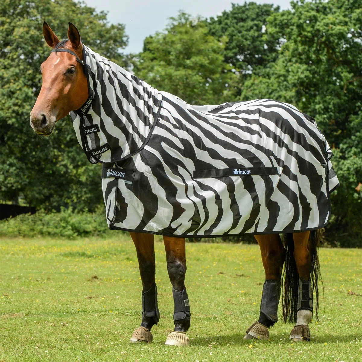 Bucas Buzz-Off Fliegendecke Zebra Full-Neck, 145