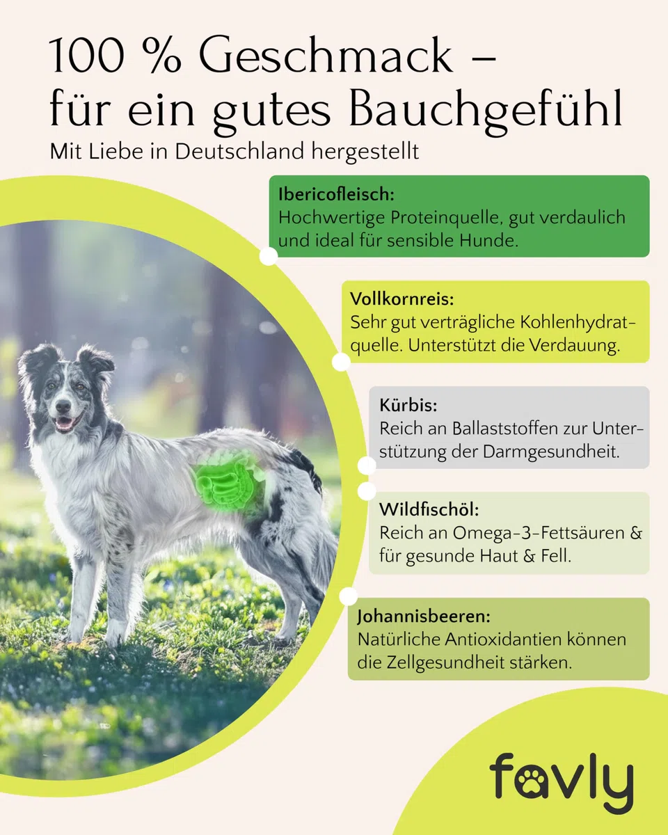 FAVLY – Freiland-Iberico Trockenfutter für Hunde 12kg – kaltgepresst & glutenfrei – mit Kürbis, Hanföl & Apfel – Monoprotein für Allergiker & Sensible Hunde – hoher Fleischanteil & ohne Zusätze