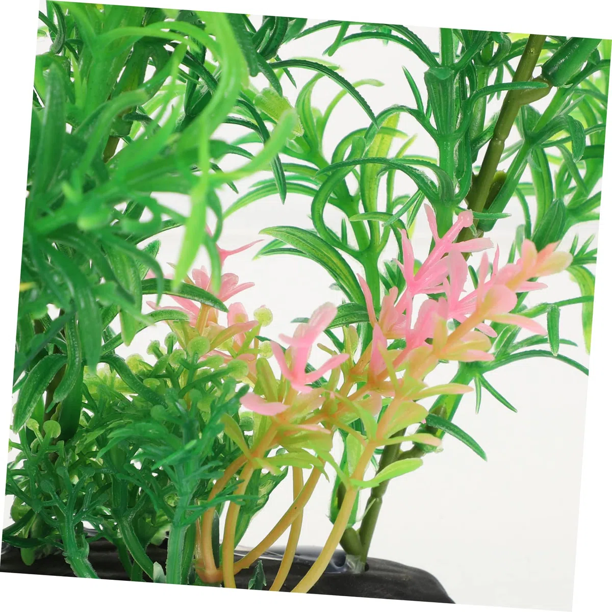 Sosoport 5 Sätze Aquarienlandschaft Floater Anlage Aquarienbaumpflanzen Im Freien Halter Für Wasserpflanzen Großes Aquarium- Luft Pflanzen Aquarium Plastik 2 Stücke * 5