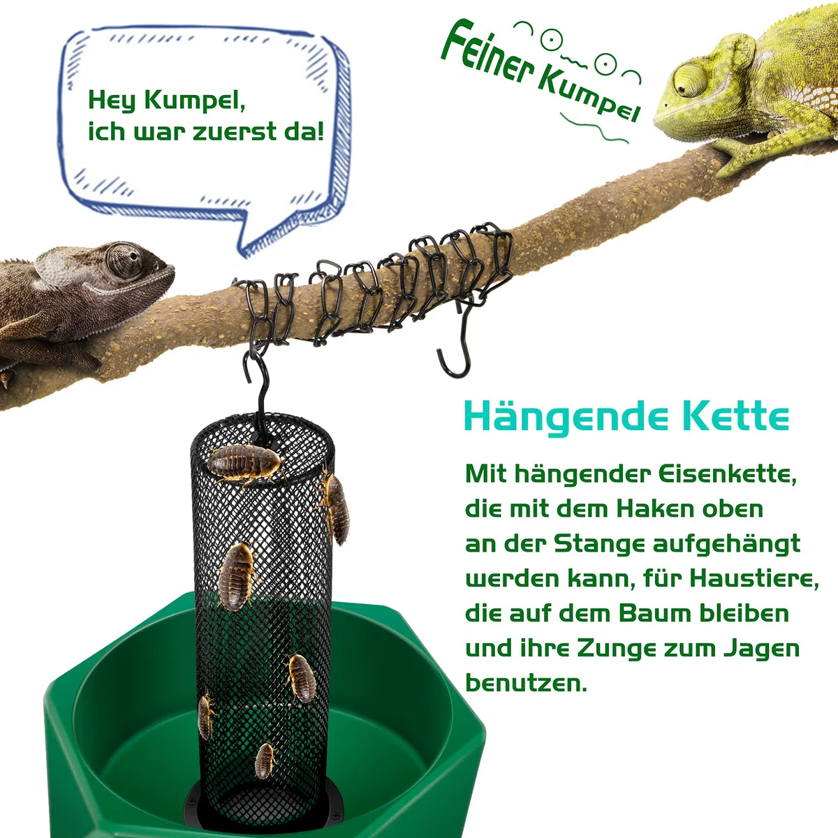 hakbare Chamäleon-Futterschale Käfer Bar mit Säule für Beute zu Klettern und zu bewegen, geeignet für Eidechse, Bartagame, Leguan, Gecko, Kröte, Frosch
