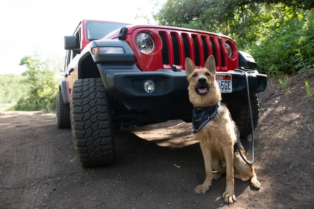 Jeep Backroads Hundehalstuch, Bandana-Ärmel auf Nylon-Gurtband, Berge, groß