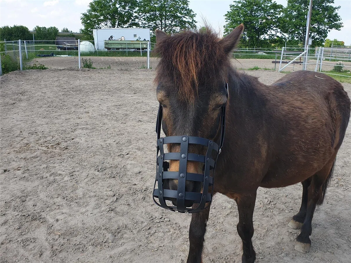 Fressbremse Strong Schwere Warmblüter und Kaltblüter mit Kehlriemen und Standartbodenplatte