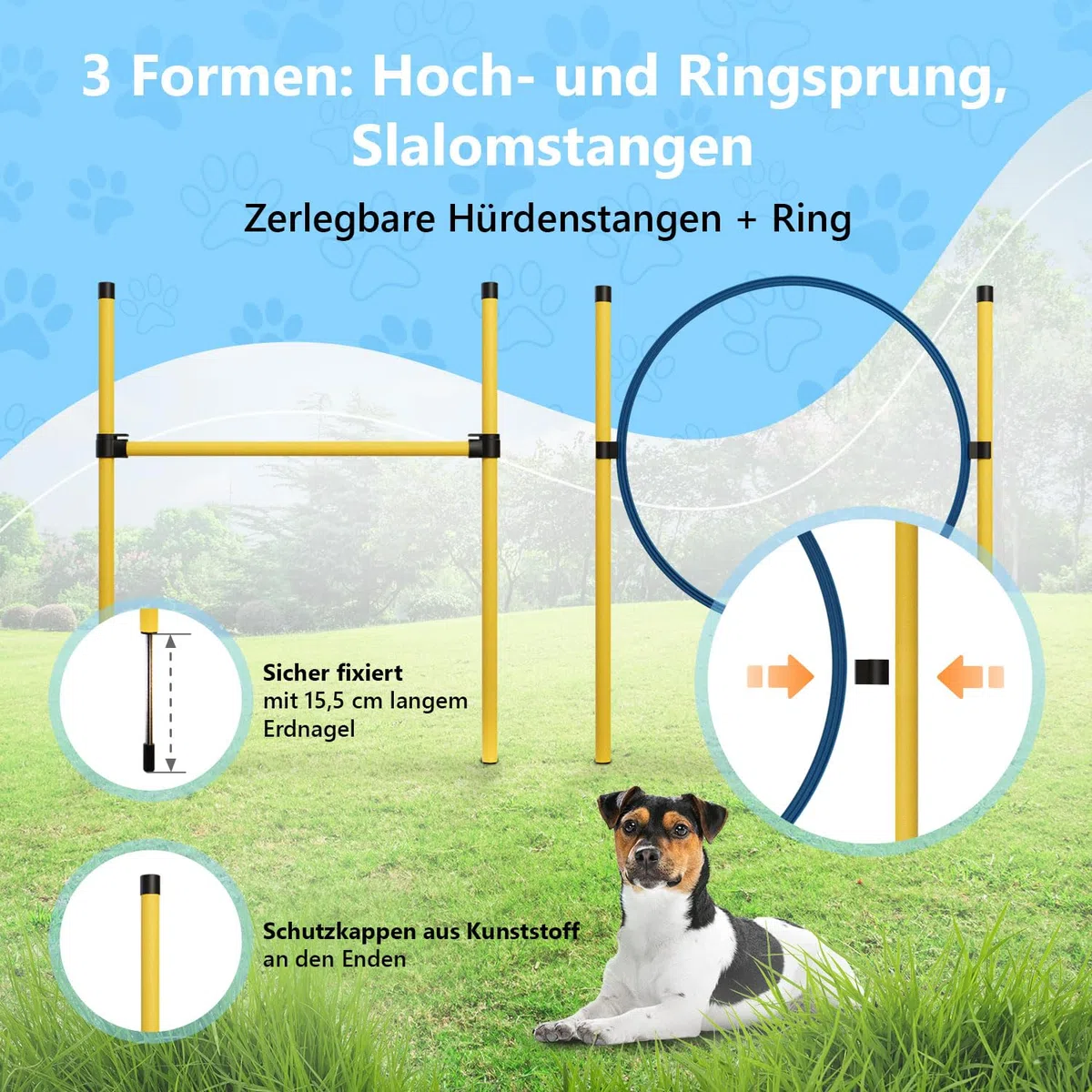 Agility Set Hunde Klein und Groß aus Tunnel für Hunde, Agility Stangen, Hürdenstange, Agility Ring & Pausenbox für Hunde Beschäftigung - Hundetraining Zubehör