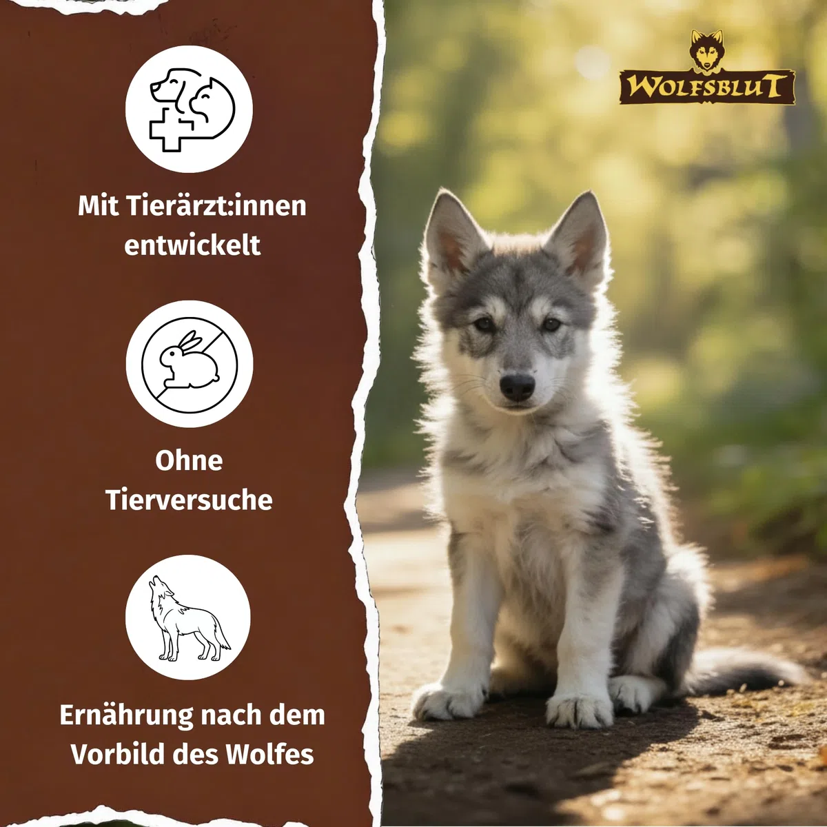 WOLFSBLUT – Wild Duck Large Breed Puppy | Trockenfutter mit natürlichen Zutaten für große, heranwachsende Hunde. Getreidefreies Alleinfutter ohne Zusatzstoffe im Beutel | 12,5kg Ente