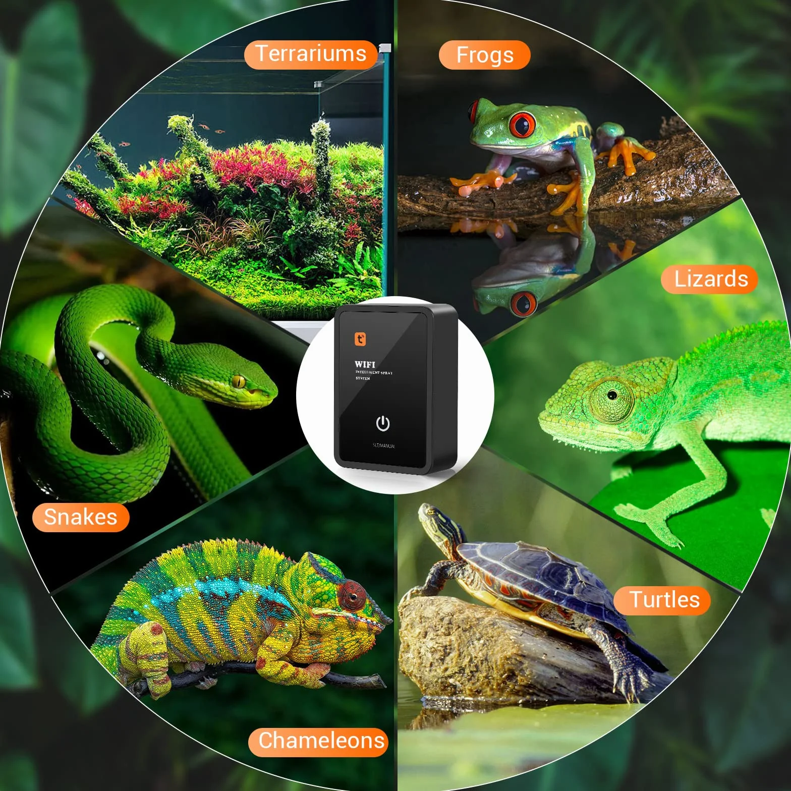 Intelligentes Reptilien Benebelungssystem, Automatisches Zerstäuber für Chameleons, Regenwald Sprüher Terrarien Nebelsystem Indoor Pflanzenbewässerungssystem für Amphibien/Herps/Kräuter