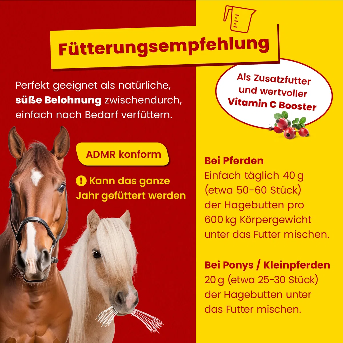 Scheidler horse-direkt Hagebutten getrocknet für Pferde 2kg – Ganze Hagebutte in Spitzenqualität – 100% Natürlicher Vitamin C Booster – Ideales Pferdeleckerli/Zusatzfutter ohne Zuckerzusatz