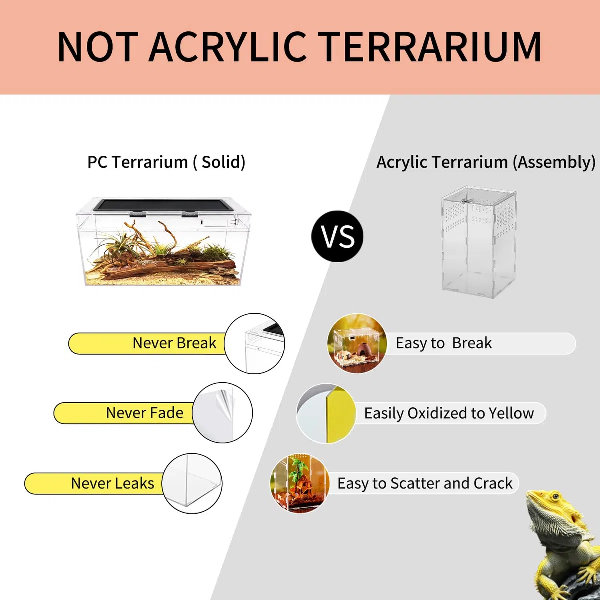 Reptile Growth Reptilien-PC-Terrarien-Set, Reptilienbecken 50 x 25x 20 cm, für Insekt, Fisch, Tarantel, Einsiedlerkrebs, Springspinne, Leguan, Schildkröte, Leopardgecko, Frosch, Bartagame