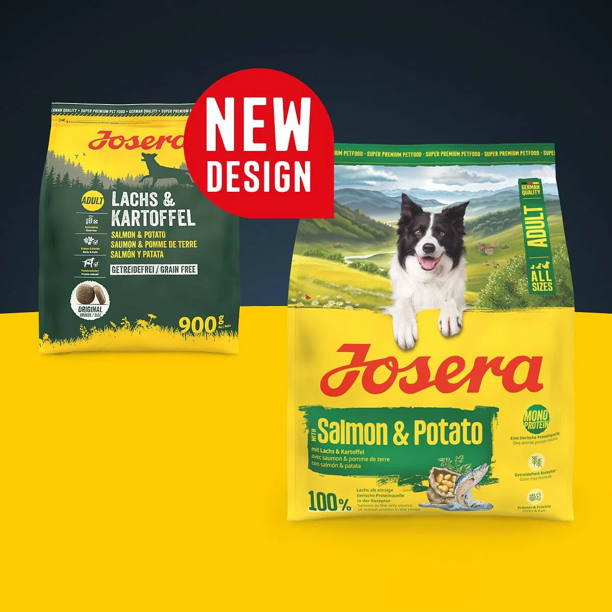 JOSERA Lachs & Kartoffel (1 x 12,5 kg) | Adult | Premium Trockenfutter für ausgewachsene Hunde (auch Senioren) | Monoprotein - 100% Lachs | wenig Protein | getreidefrei | Hundefutter | 1er Pack