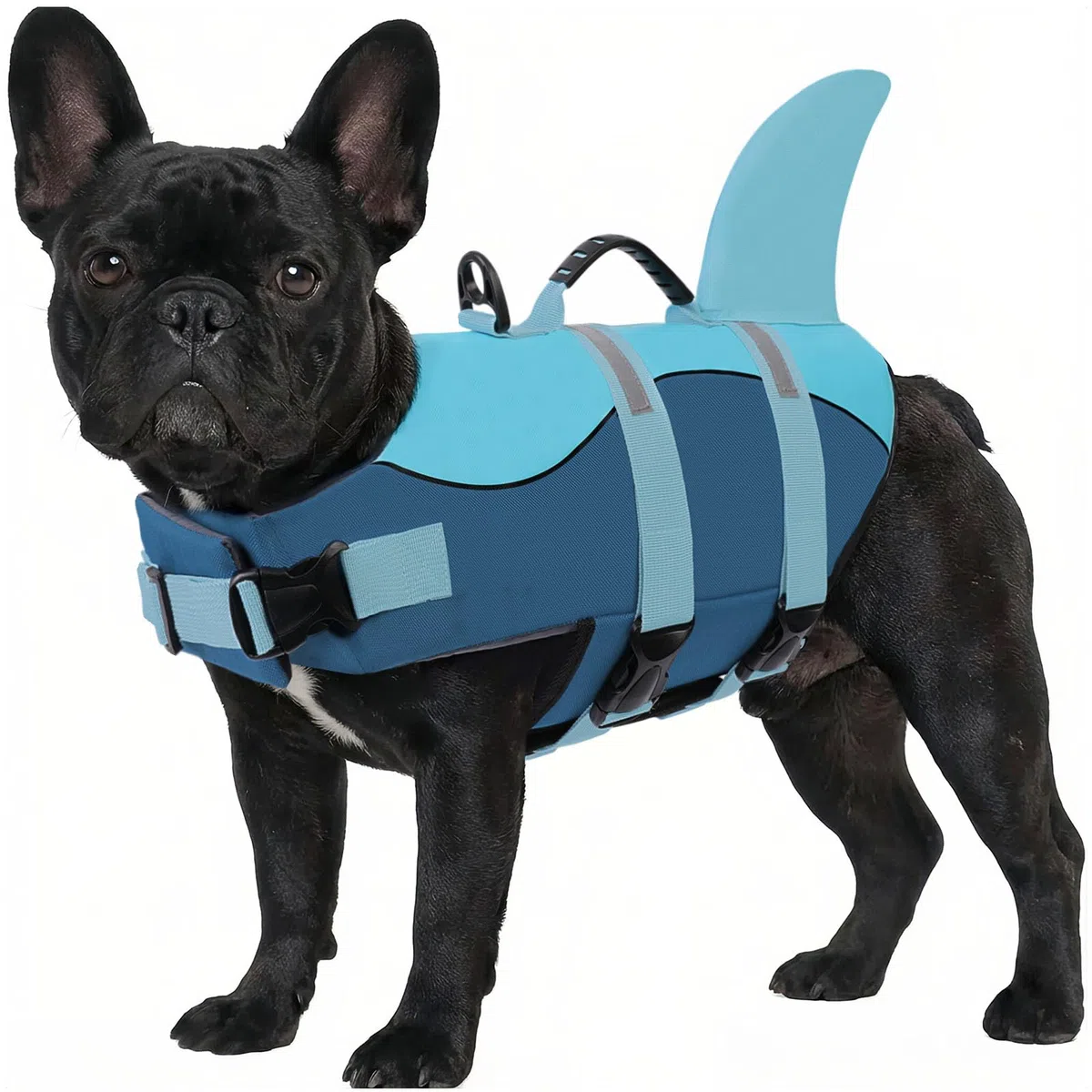 ASENKU Hundeschwimmweste Größe S für kleine Hunde, Schwimmweste für Hund Hai mit Sicherheitsgriff, Reflektorstreifen & D-Ring, ideal für Schwimmen, Boot & Strand