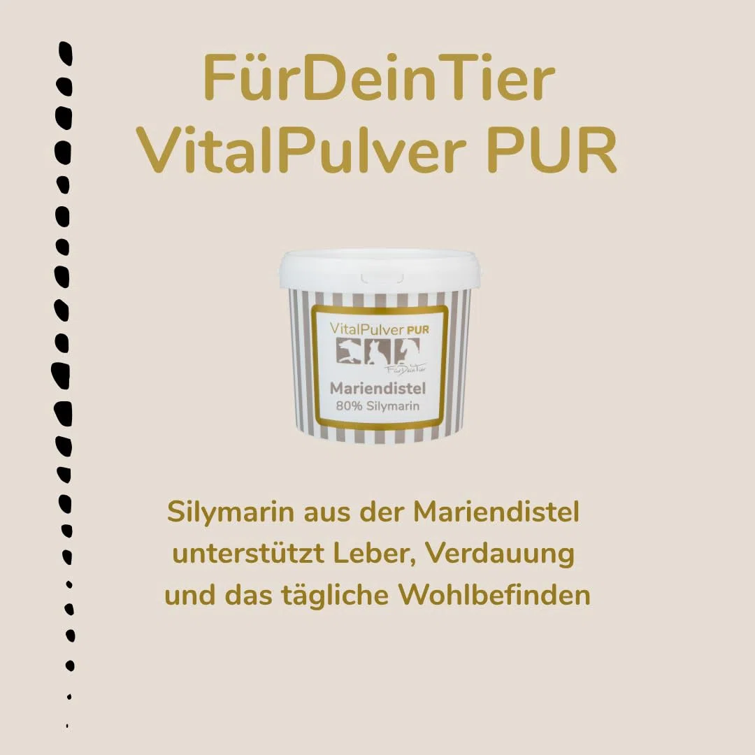 Für Dein Tier VitalPulver Pur | 100% Mariendistel (1 x 1,5 kg) | Silybum marianum Pulver mit 80% Silymarin | Ergänzung der Fütterung für Hunde, Katzen und Pferde | Unterstützt die Leberfunktion