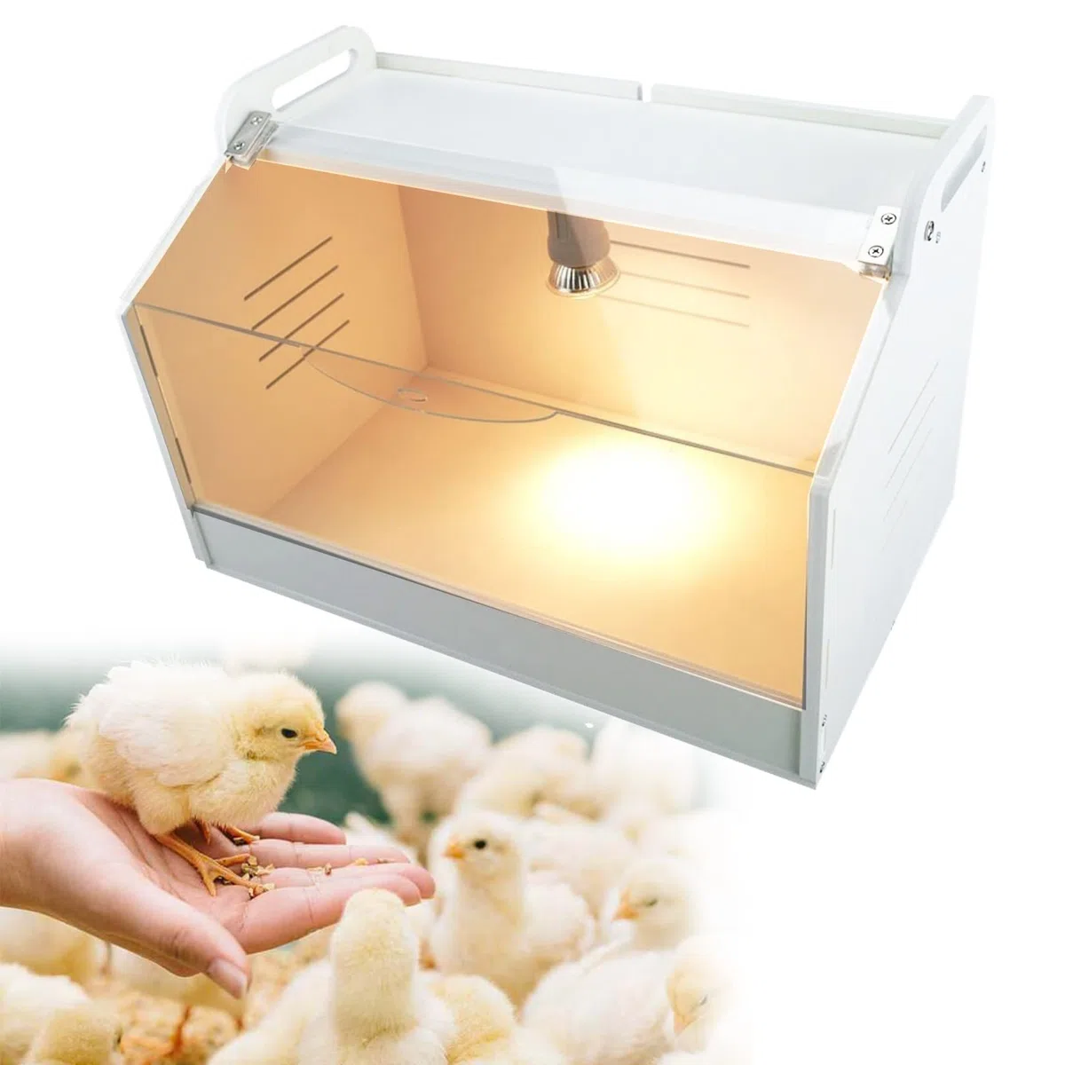 Brutkasten für Küken, Wachteln, Vögel, Enten, manueller Inkubator, Geflügelheizung, Brutkasten wärmt bis zu 20 Neugeborene Hühner (Basic S/48 x 30 x 32 cm)