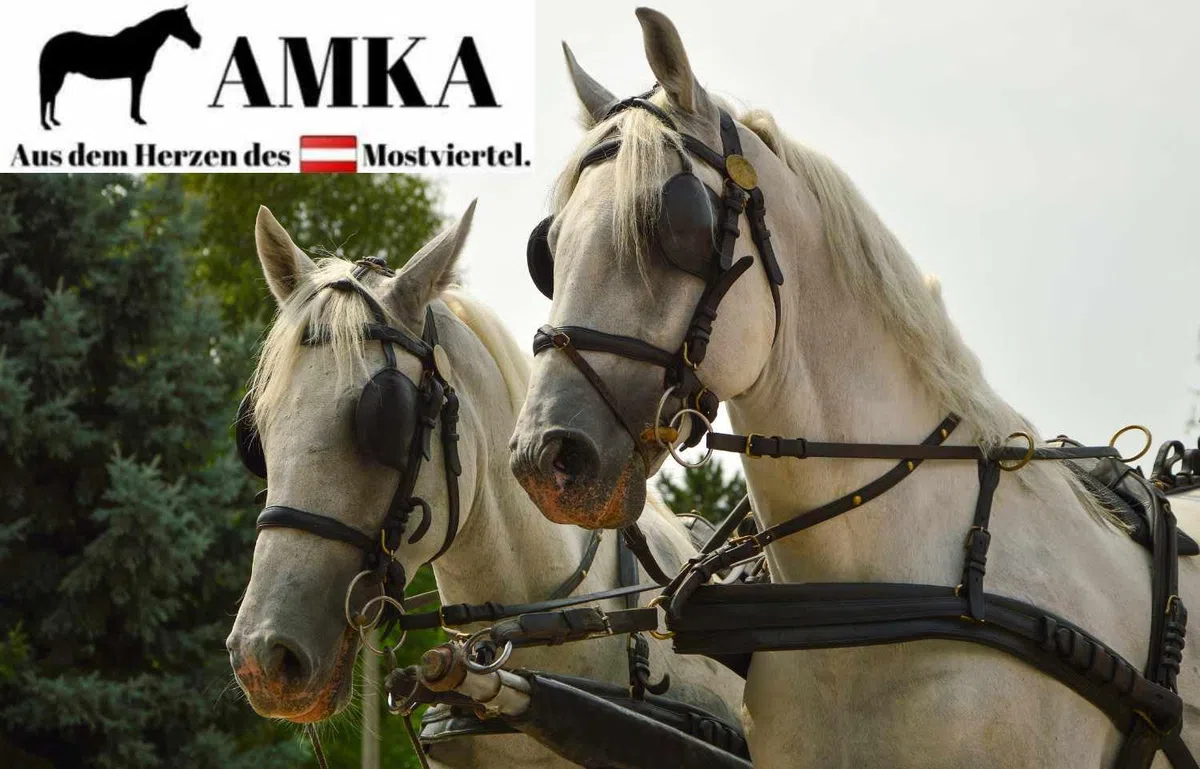 Postkandare gebrochen Edelstahl mit 2 Ringen