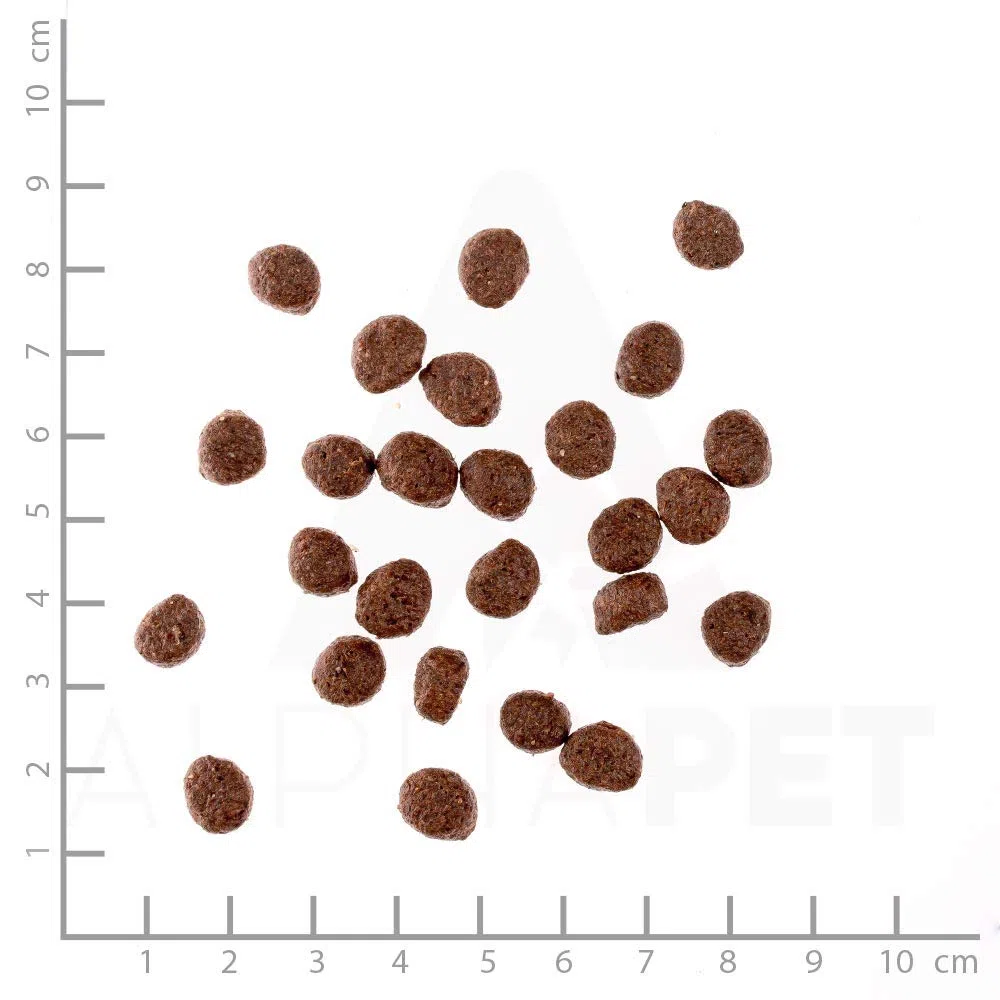WILDES LAND – Huhn Puppy | Trockenfutter mit extra hohem Fleischanteil und natürlichen Zutaten für heranwachsende Hunde. Alleinfutter ohne Zusatzstoffe im Beutel | 24kg Huhn