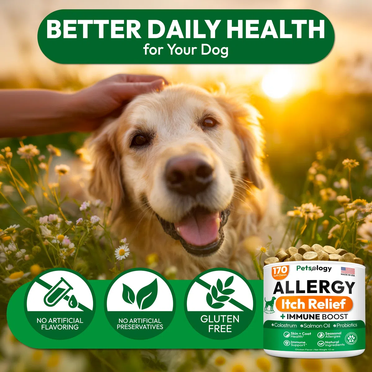 Hundeallergie Kauspielzeug - Made in USA