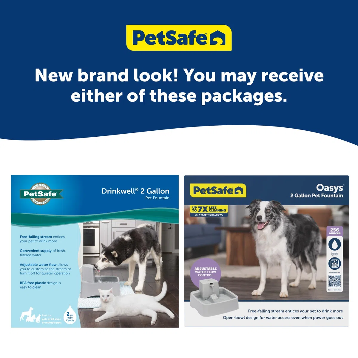 PetSafe Drinkwell Wasserbrunnen für Katzen, Hunde oder mehrere Haustiere – Automatischer Wassernapf – Pumpe und Wasserfilter im Lieferumfang enthalten – spülmaschinenfest – leicht zu reinigender