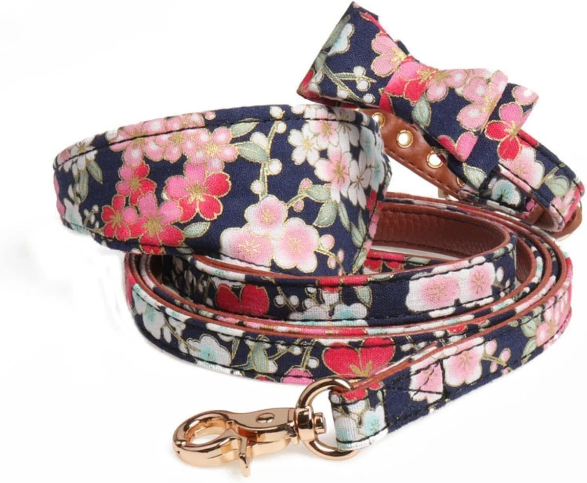Hundehalsband, Personalisiertes Hundehalsband und Leine Set Ausgefallenes blaues mit Fliege Metallschnalle Mode-Welpenhalsbänder(M)