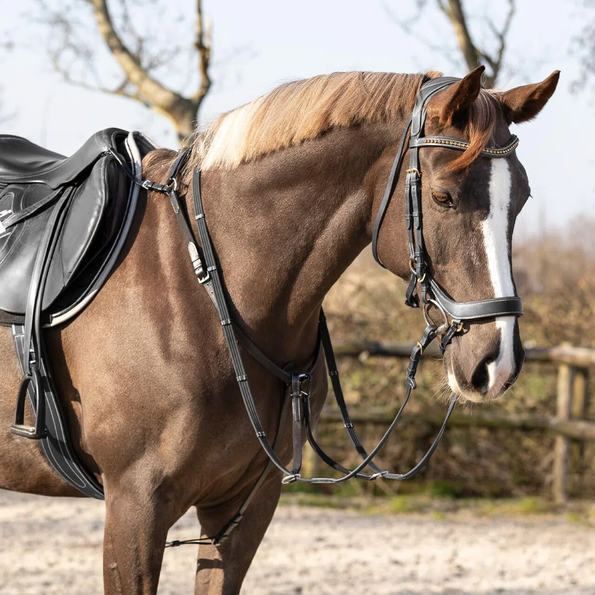 NETPROSHOP Leder Vorderzeug Basic Pro mit Abnehmbarer Martingalgabel Pony Cob Full, Groesse:Full, Farbe:Schwarz