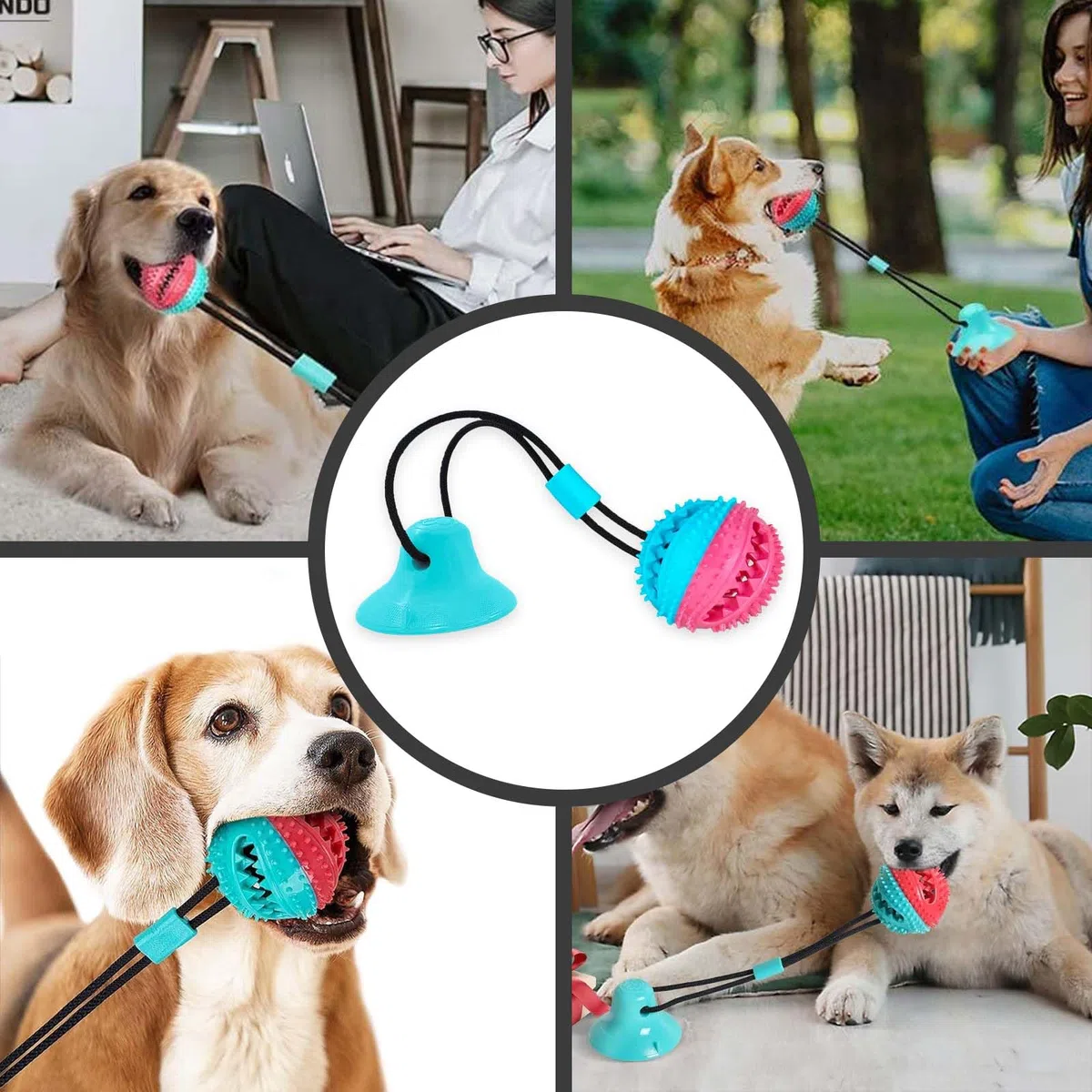 Hundespielzeug - Saugnapf Hund Kauspielzeug für aggressive Kauer - Leckerli-Dosierung Quietschendes Hundespielzeug zur Stimulation und Selbstspiel - Tauziehen Seil mit Zahnreinigungsball