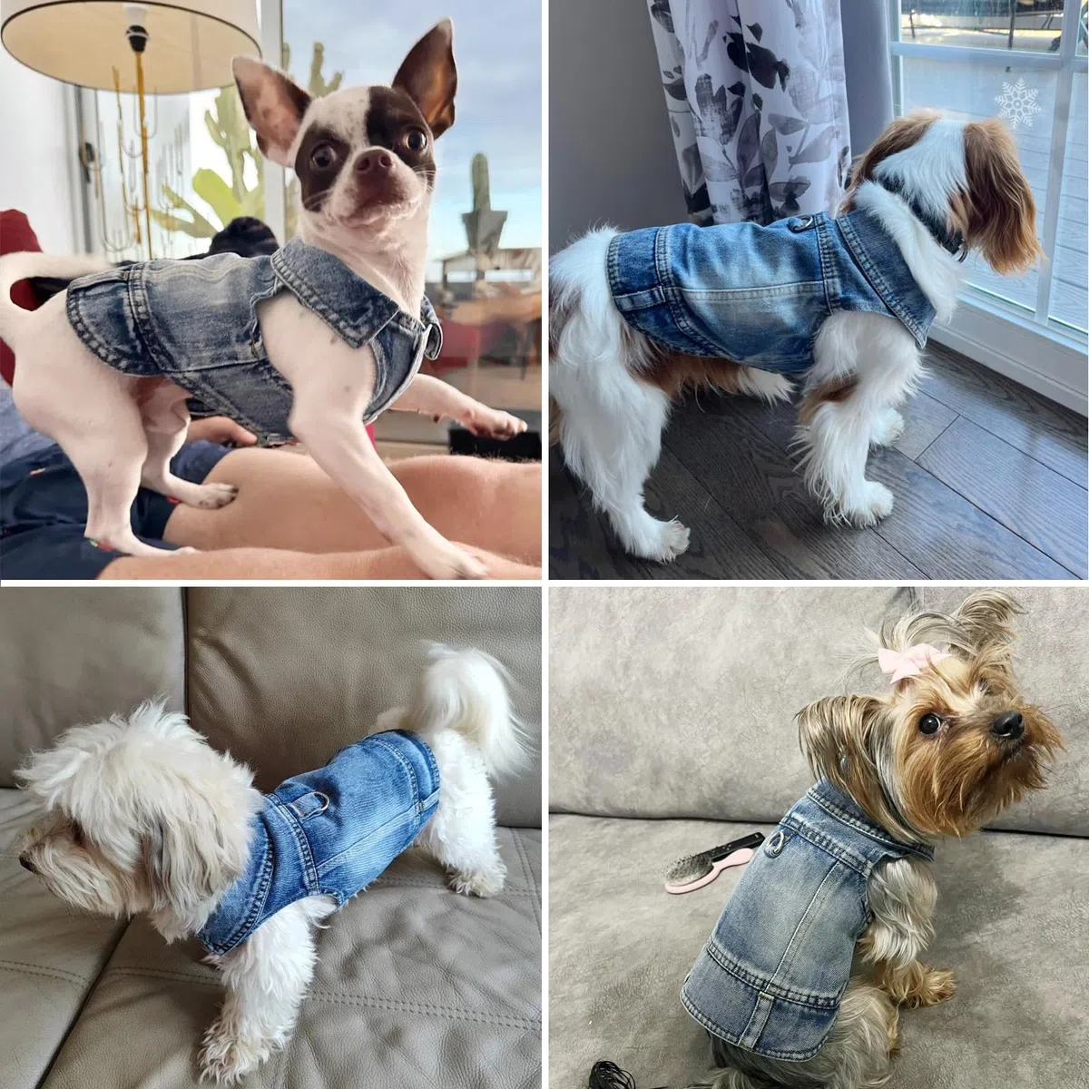 Hunde-Jeansjacke Hundejacke, Cooler Blauer Jeansmantel für kleine, mittelgroße Mädchen, Jungen, Welpen, Kleidung, Komfort-Reversgeschirr, Weste mit D-Ring für Leine