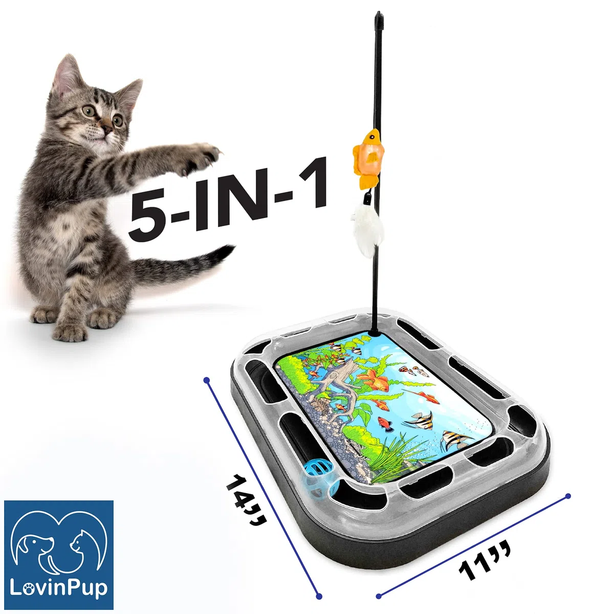 Katzenkratzspielzeug mit Kratzbrett und Fisch Aquarium Design, Spaß und Aufregendes Katzenminze Katzenspielzeug, Schlenkerfisch Spielzeug mit Federn und Katzenminze Enthalten
