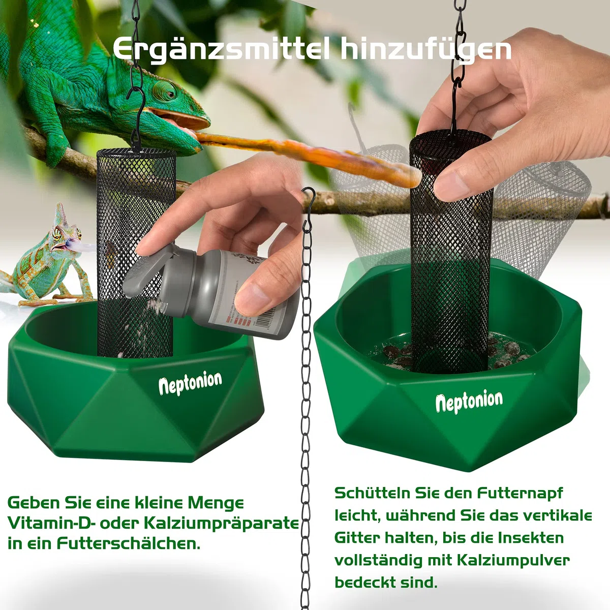 hakbare Chamäleon-Futterschale Käfer Bar mit Säule für Beute zu Klettern und zu bewegen, geeignet für Eidechse, Bartagame, Leguan, Gecko, Kröte, Frosch
