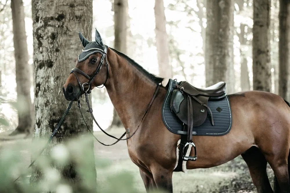 Kentucky Horsewear - Wellington Fliegenmütze - Stone & Pearl - Dunkelgrau - Full
