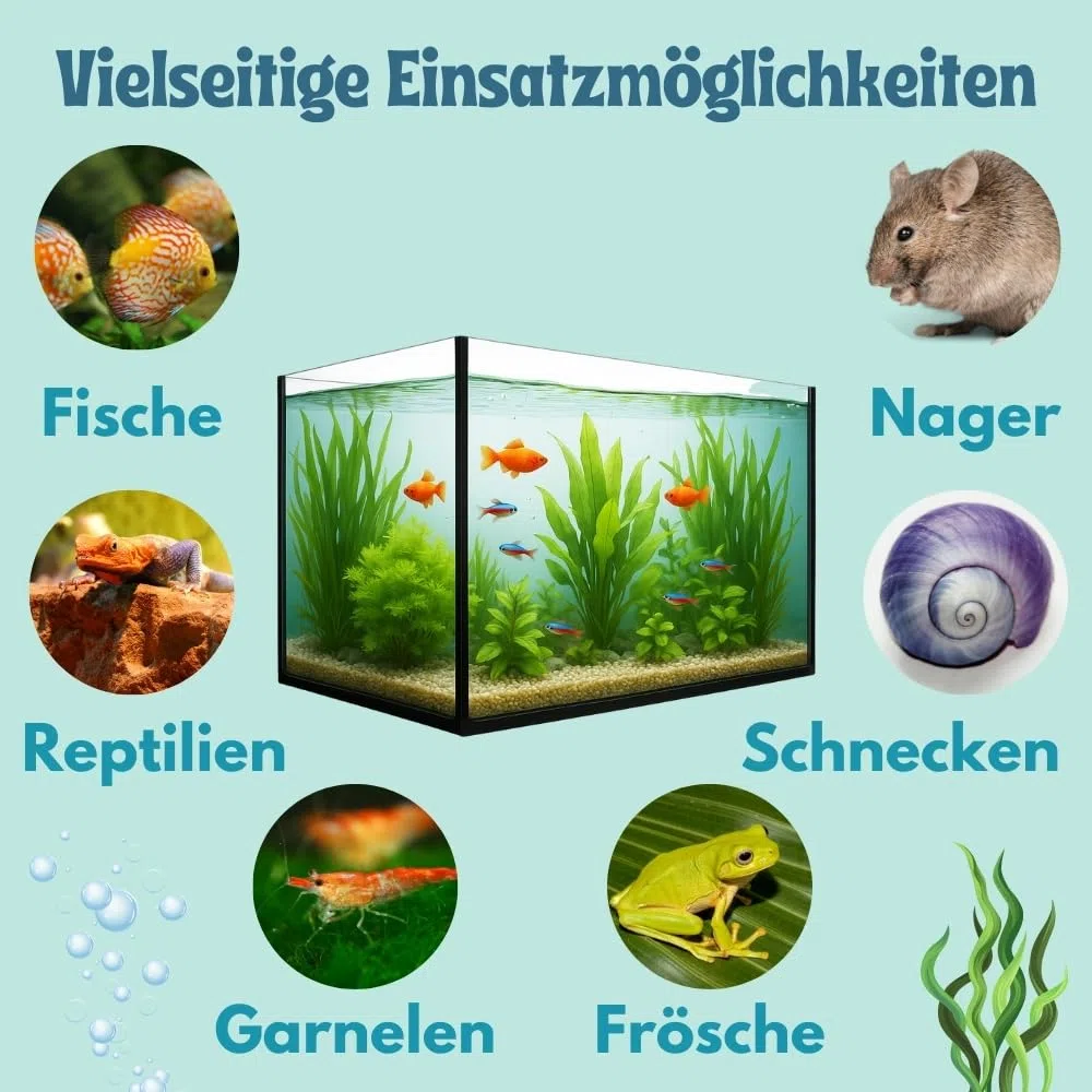 Aquarium Becken Rechteckig Glas Aquariumbecken Mini Aquarium Salzwasseraquarium Nano Glasbecken Glasaquarium Aufzuchtbecken 30x20x20