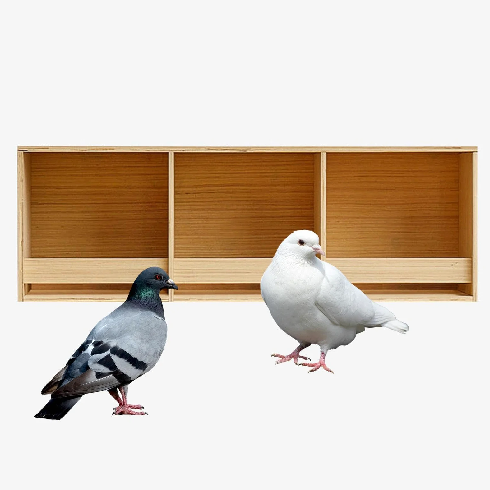 Sittich-Nistkasten, Vogelhaus, Wohnhof, Gartendekoration, Vogelzuchtkasten, für Wellensittiche, Kanarienvögel, Nymphensittiche, 3 Gitter 90cmx30cm