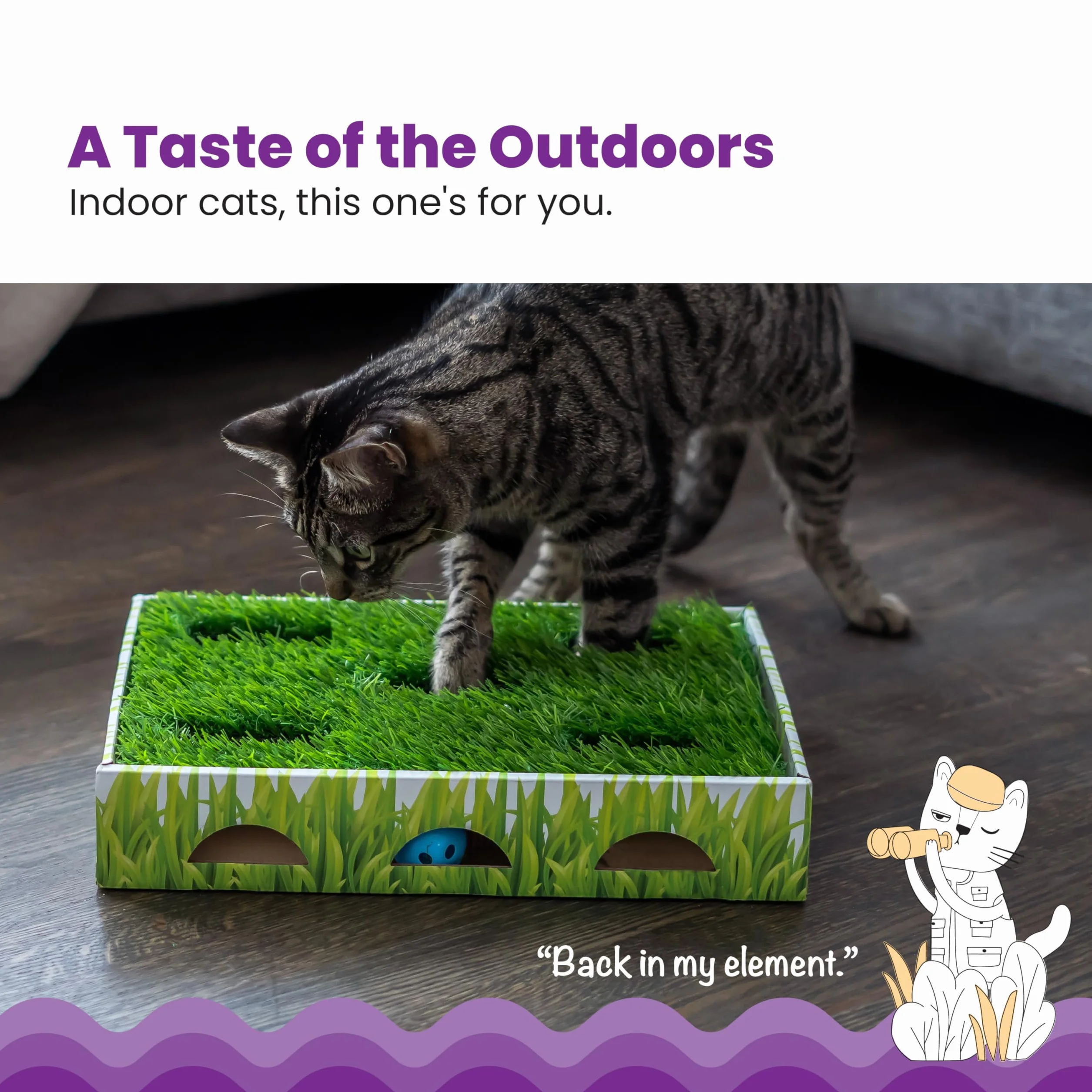 Catstages Gras Patch Jagdbox Katzenspielzeug