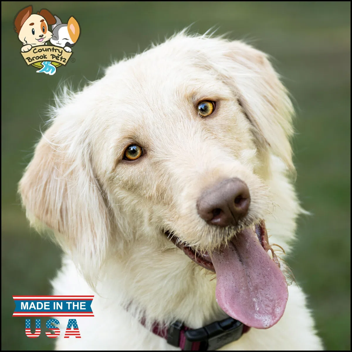 Country Brook Petz Hundehalsband, Nylon, hergestellt in den USA mit Schnalle, Größe M, 1,9 cm breit, Burgunderrot, 32 leuchtende Farben