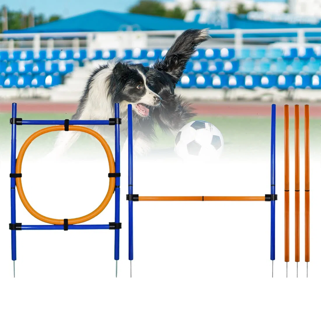 Agility-Ausrüstung für Hunde, 28-teiliges Trainings-Starter-Set für Hinterhofspiele mit Springen, Hochsprüngen, Slalomstangen, Tragetasche, bauen Sie gegenseitiges Vertrauen auf Haustier-Outdoor-Kurse