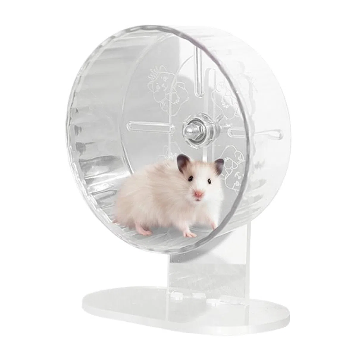 Hamsterrad Silent Transparent Running Gerbil Höhenverstellbares Zubehör Heimtierbedarf für Haustiere