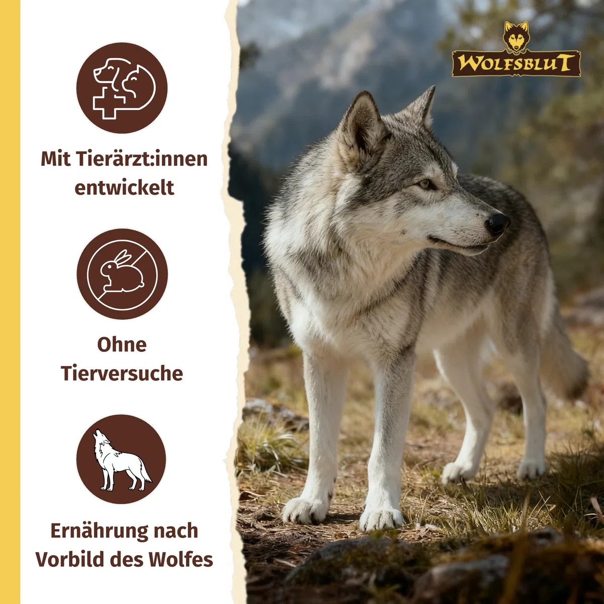 WOLFSBLUT – VetLine Hypoallergenic | Diät Trockenfutter für ausgewachsene Hunde mit Futterunverträglichkeiten. Getreidefreies Alleinfutter im Beutel | 12kg Pferd mit Süßkartoffeln