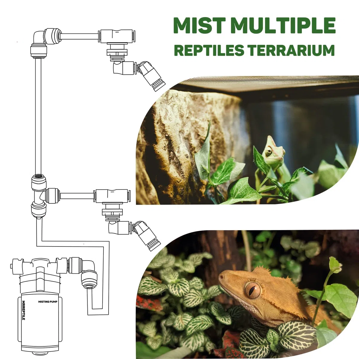MRREPTILE Reptiliennebel, Nebelsystem für Reptilien Terrarium, Mister für Chamäleon Schildkröte Eidechse, MS200 Mister Neue Version, Tank Mister