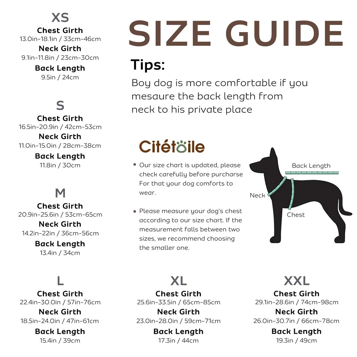 CITÉTOILE Schwimmweste Hund Hai, Hundeschwimmweste & Dog Life Jacket Verstellbar mit Griff und Reflektoren, Rettungsweste für Kleine Mittel Große Hunde & Welpen zum Schwimmen, Bootfahren, Surfen