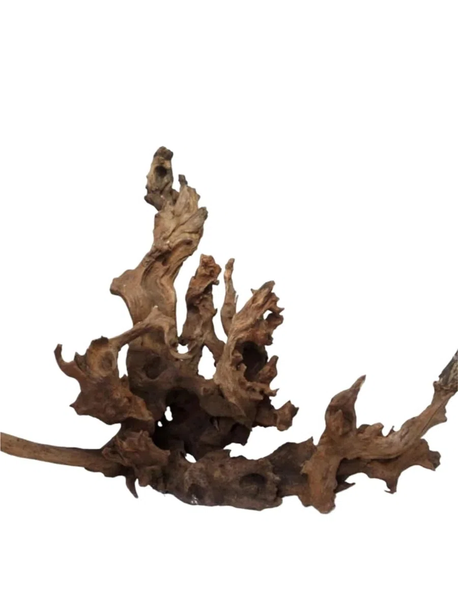 Treibholz Für Aquarien Aquarium Schildkröte Sonneninsel Holz Zweige Plattform Dekorative Wasserpflanze Stehen(2.5kg (56-75cm))
