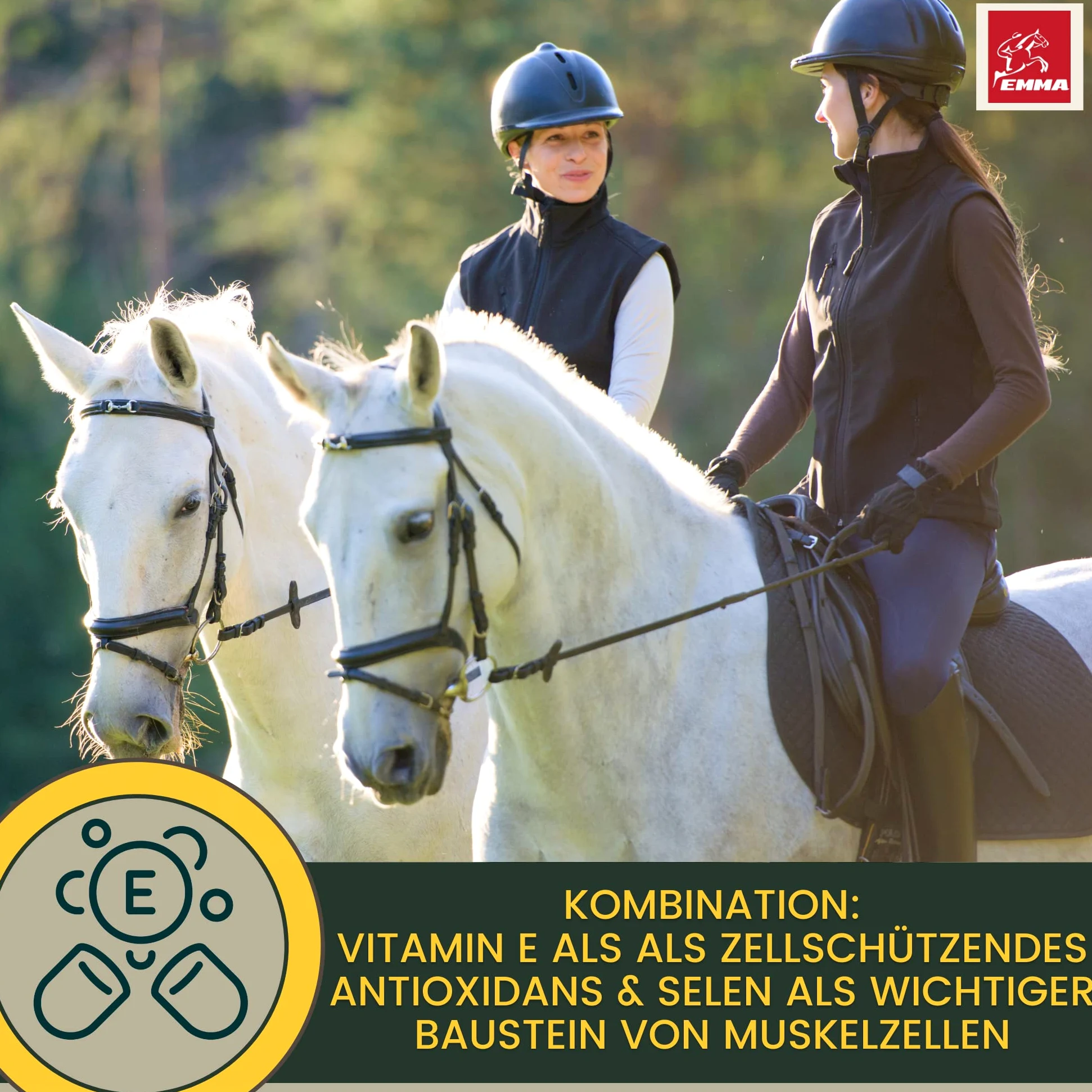 EMMA Mineralfutter Pferde Set 5kg Pellets + 1L Vitamin Liquid + Vitamin B Komplex Paste 30ml | Selen Pferd | Vitamin E D A C B12 | Magnesium | Bierhefe | Immunsystem & Muskelaufbau