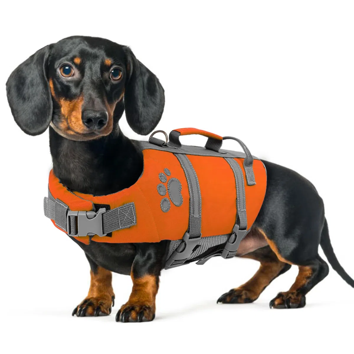 Queenmore Dackel-Schwimmweste, leicht, verstellbar, mit Rettungsgriff, zum Trocknen, Schwimmen, Sicherheitsweste für Wursthund, Corgi, Beagle, Französische Bulldogge (Orange, M)