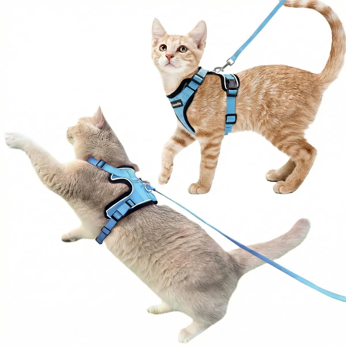 Luxelle Ausbruchsicheres Katzengeschirr und Leine zum Spazierengehen, weich, verstellbar, kein Ziehen, mit einfach zu bedienender Schnalle, reflektierende Riemen, atmungsaktives Netz-Reisegeschirr, 2