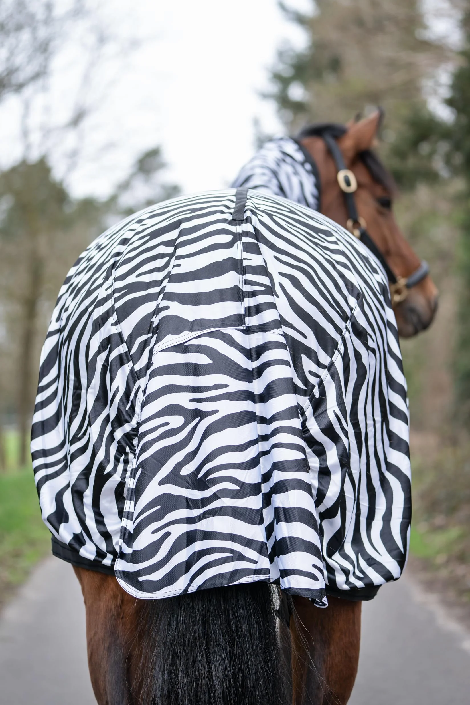 HKM zebra eczema blanket for horse, 145 cm, horse fly blanket