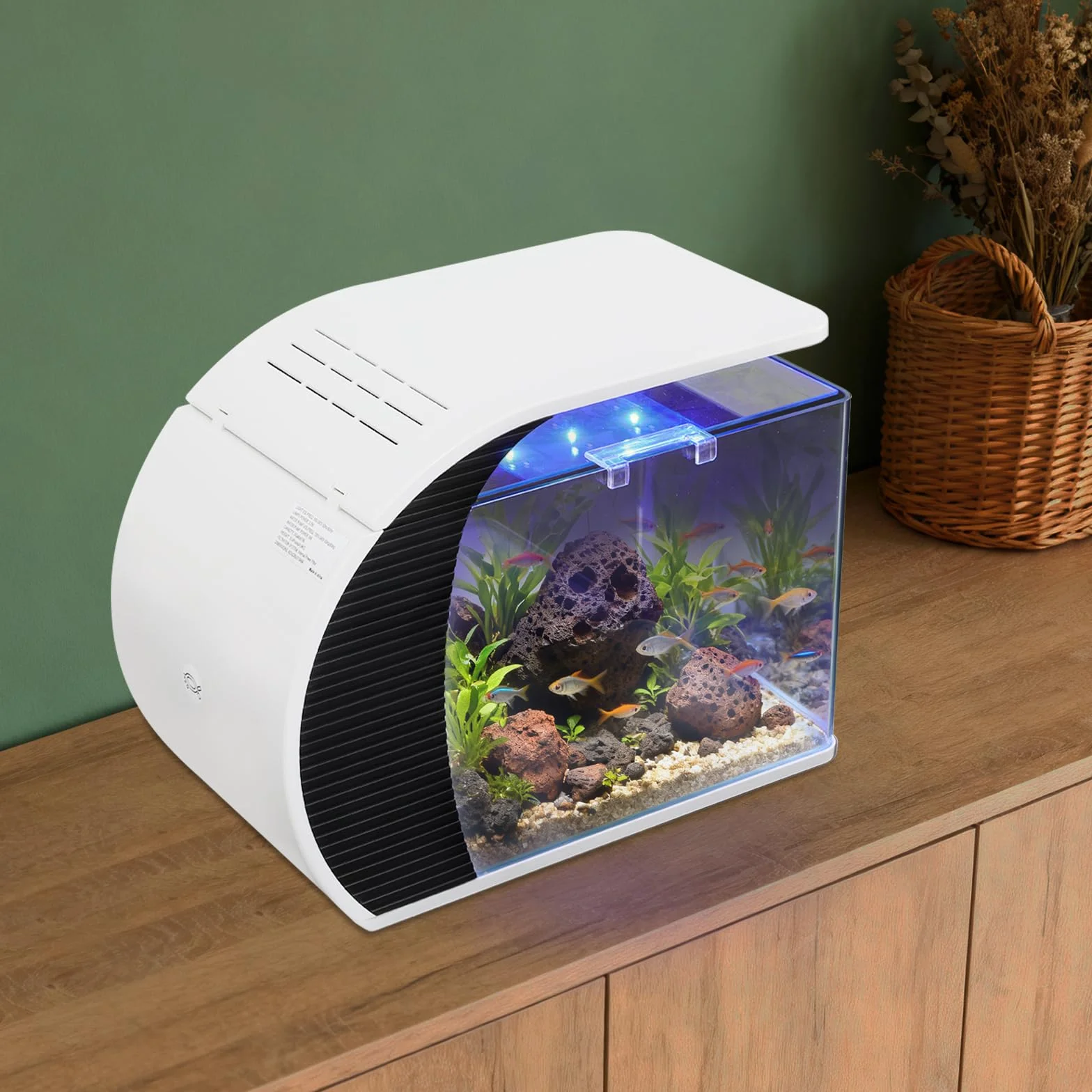 Desktop Aquarium Komplettset 19L Glas-Aquarium mit LED Beleuchtung, Filter & Pumpe, Ideal für Wohnzimmer, Büro, Schlafzimmer 42.3 x 22.6 x 31.5cm