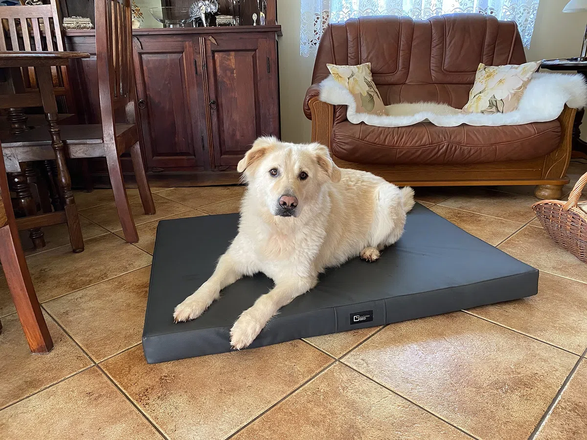 Hundematte Tina Grosse Mittelgroße Kleine Hunde - Hundekissen Hundebett aus Öko-Leder - Waschbar Wasserdicht Kuschelig Langlebig Abriebfest Reißfest (XL | 100x80x8cm, Anthrazit)