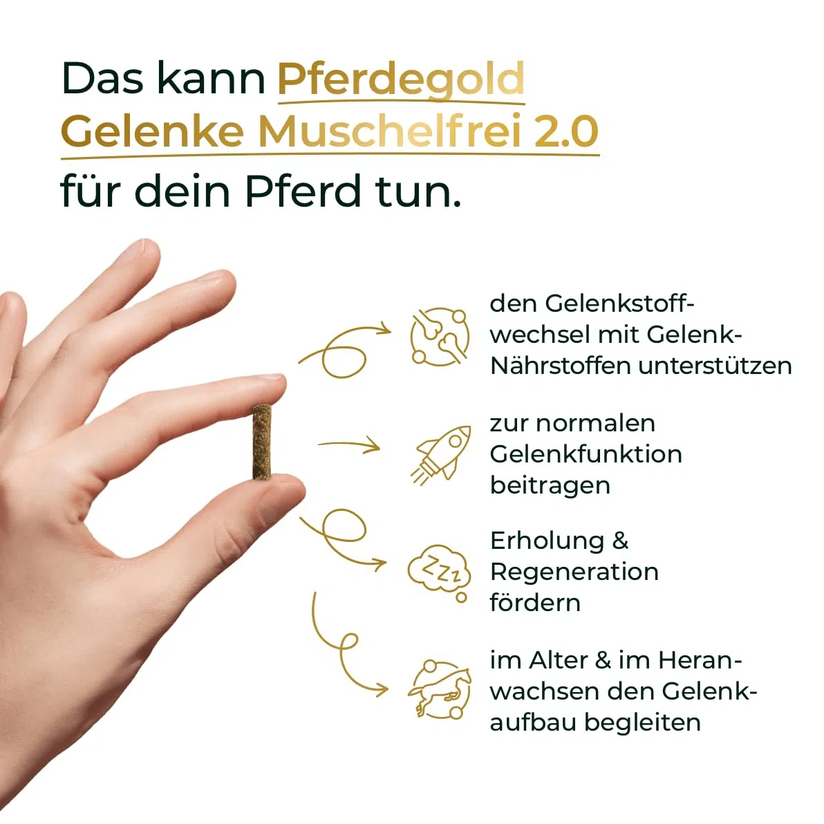 Gelenke Muschelfrei 1,5kg - Gelenk-Pellets ohne Muscheln | Mit Astaxanthin, Hyaluron, Kollagen & Spirulina - Natürlich & dopingfrei - Made in Germany