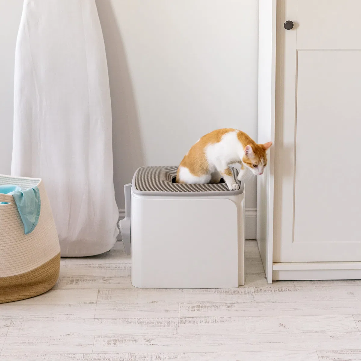 Iris Ohyama, Katzentoilette mit Schaufel, Geschlossenes Katzenklo, Weiß, Abnehmbaren Deckel, Spritzschutz, Einfache Reinigung, Für Katzen, Kätzchen, Kaninchen, BPA-frei - PRCL-SQ | Hundefreie Zone, hundefeste Pfanne, geschlossener Zugang oben, Schmutzfang