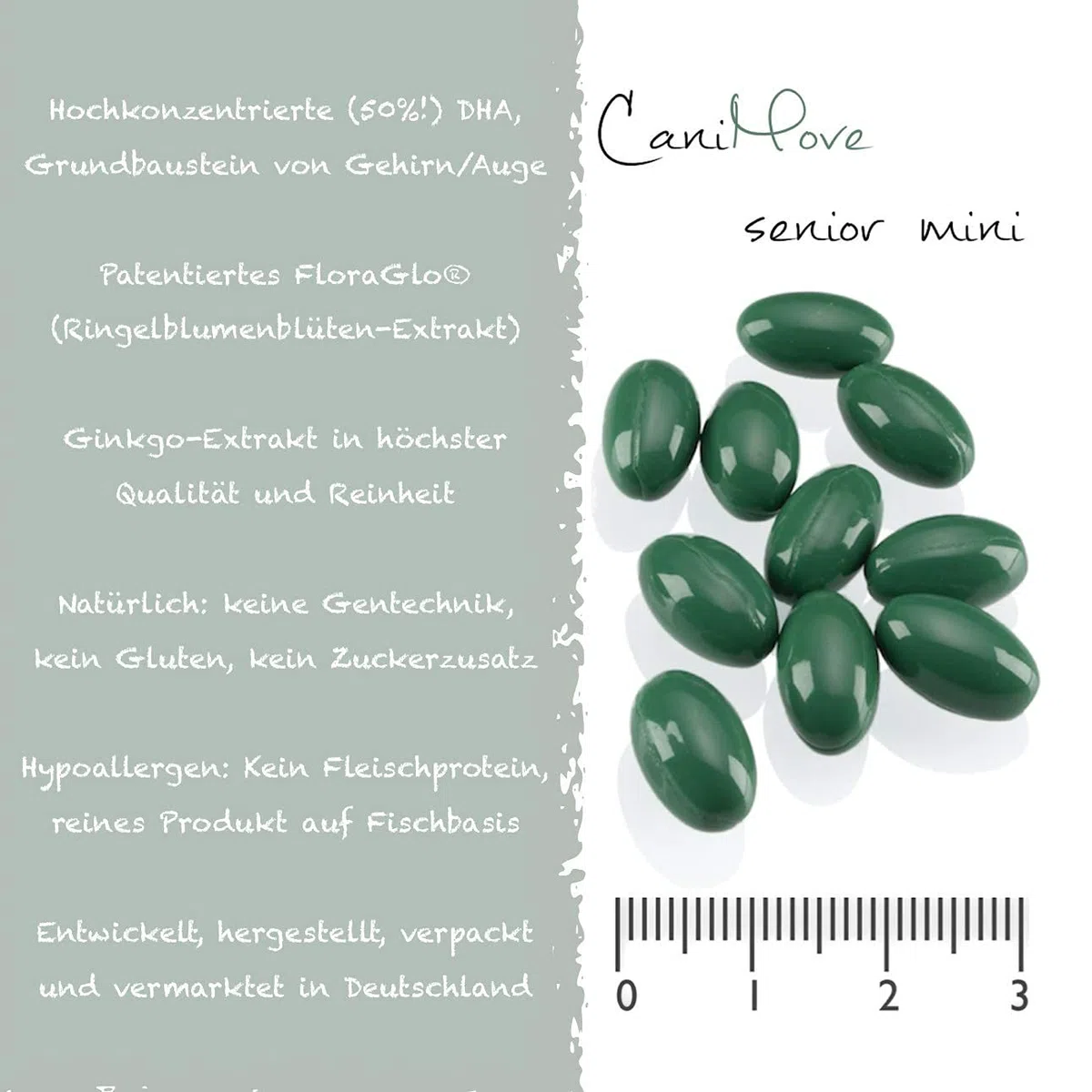 Spar-Bundle - 1 Dose (100 Tabletten) CaniMove Motion mini und 2 Packungen (200 Kapseln) CaniMove Senior mini - Ideal für kleine Hunde-Senioren.