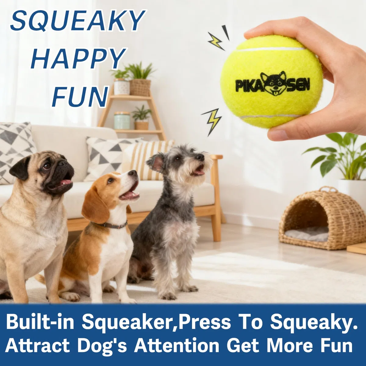 Quietschende Tennisbälle für Hunde, in 3 Größen, hochwertig, starke Hunde- und Welpenbälle zum Training, Spielen, Trainieren, die einfachste Farbe für Hunde, Rot, Gelb, Blau, Größe M, 12 Stück