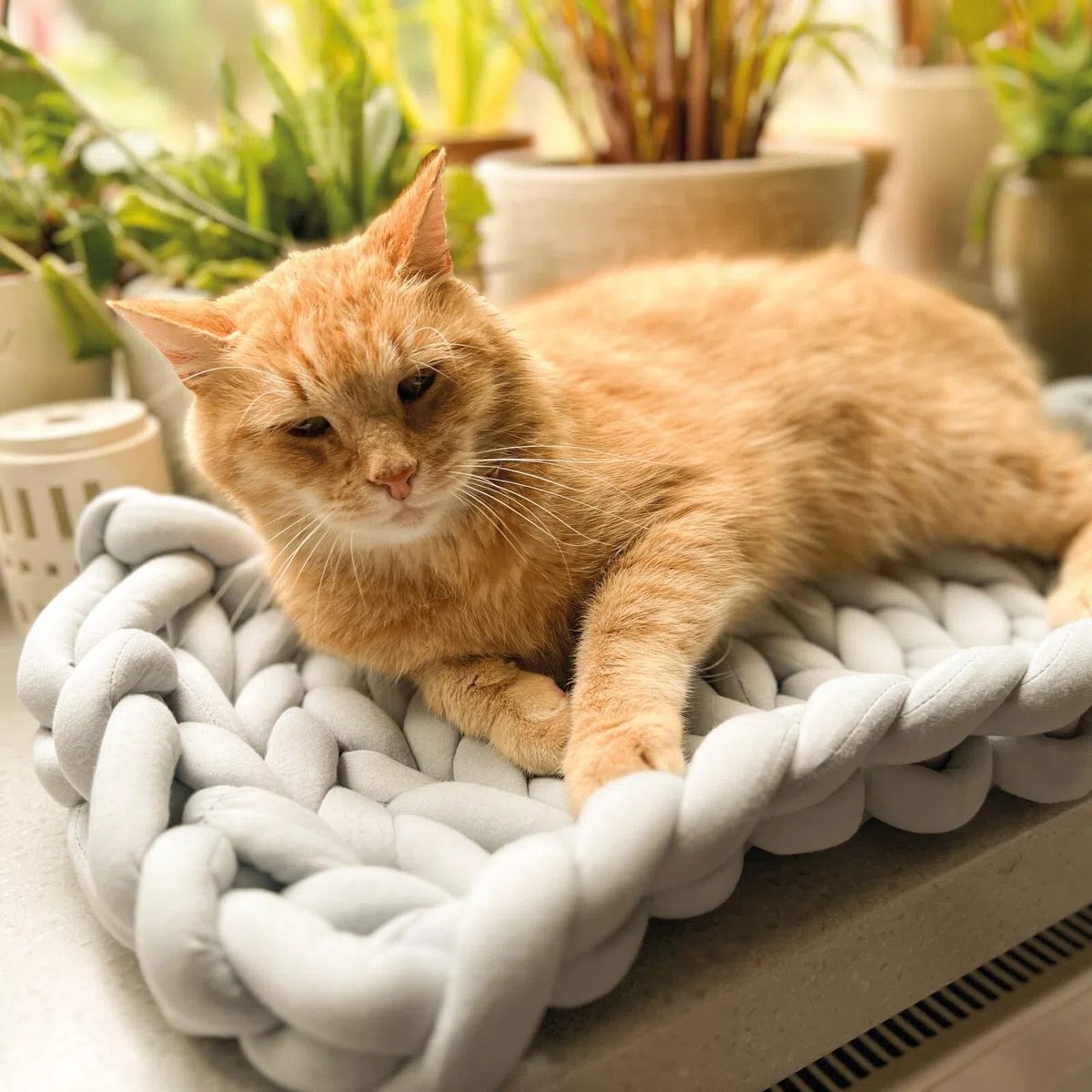Aumüller Katzenkorb und Fensterbankliege Grobstrick - Schlafplatz für Katzen, Grau