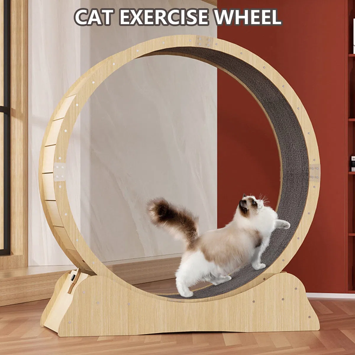 Cat-Wheel-übungsgerät Für Wohnungskatzen, Groß Cat-laufrad Mit Teppichlaufbahn, Groß Laufband Für Katzen, Hamsterrad-Stil Katzenrad, Leise Und Geräuschlose Walzen,S